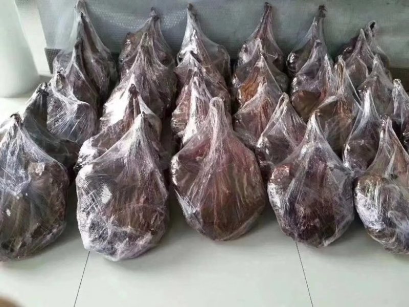 吉林长春双阳区鹿副产品批发 鹿胎650元/个，一手货源解析