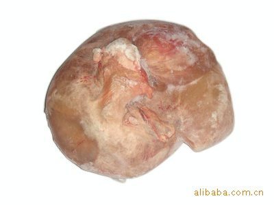 鹿副产品·鲜鹿胎 驻颜暖宫的自然馈赠——探访双阳区盈俐鹿产品经销部